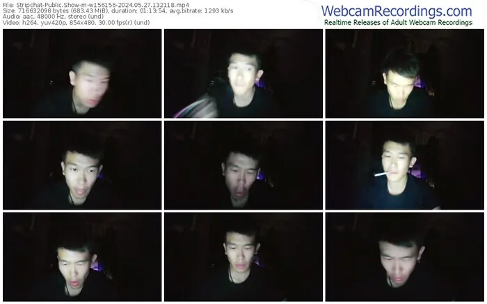 stripchat-w156156-05-27-2024-13-21-18