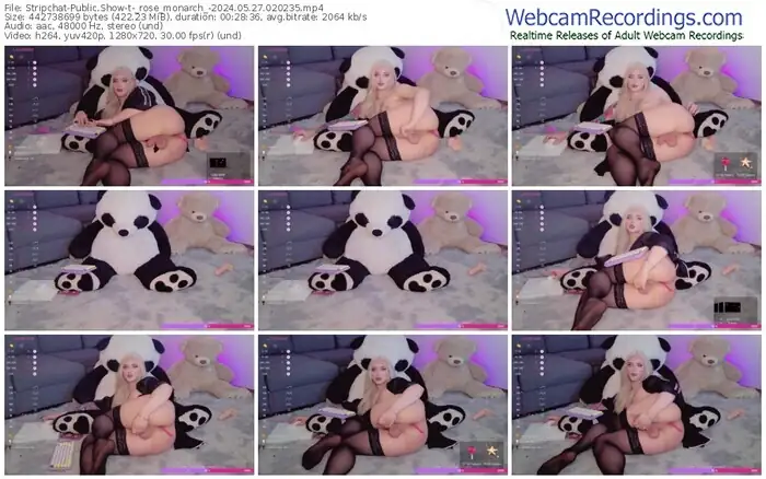 stripchat-_rose_monarch_-05-27-2024-02-02-35