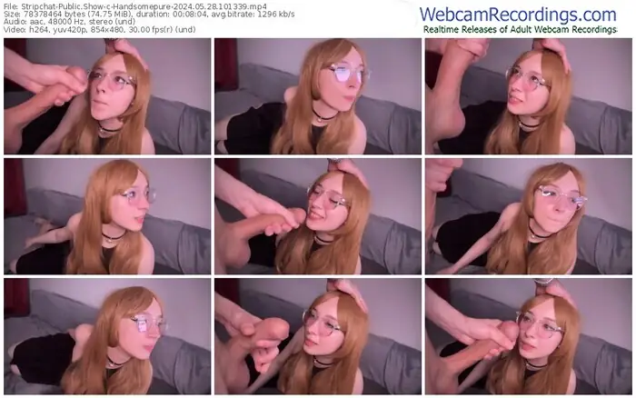 stripchat-handsomepure-05-28-2024-10-13-39