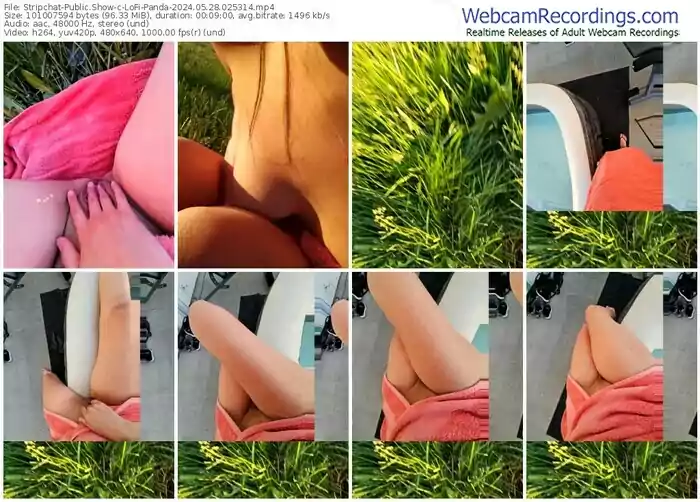 stripchat-lofi-panda-05-28-2024-02-53-14