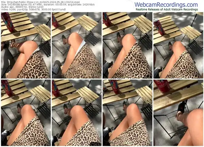 stripchat-in_mi0425-05-28-2024-13-32-14