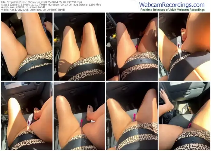 stripchat-in_mi0425-05-28-2024-13-52-38