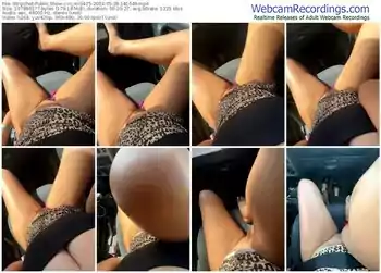 stripchat-in_mi0425-05-28-2024-14-16-49