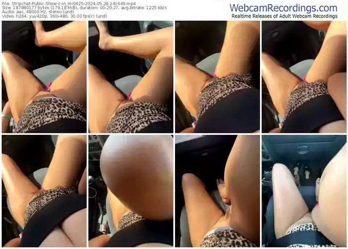 stripchat-in_mi0425-05-28-2024-14-16-49