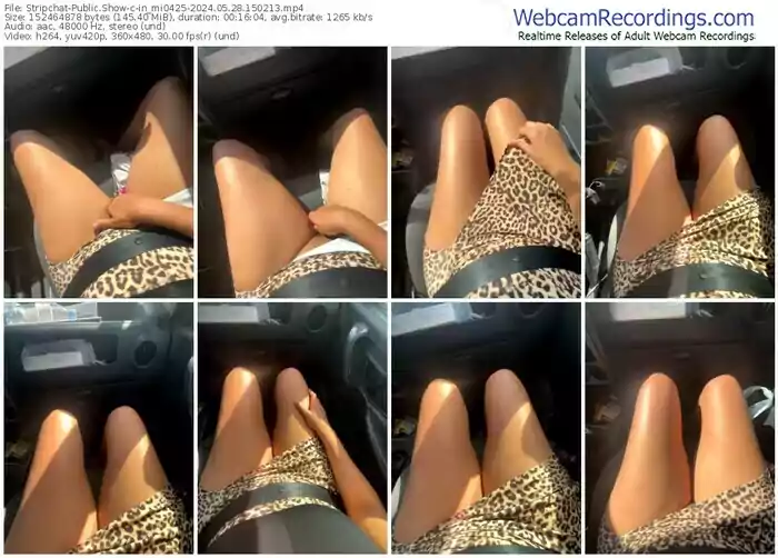 stripchat-in_mi0425-05-28-2024-15-02-13