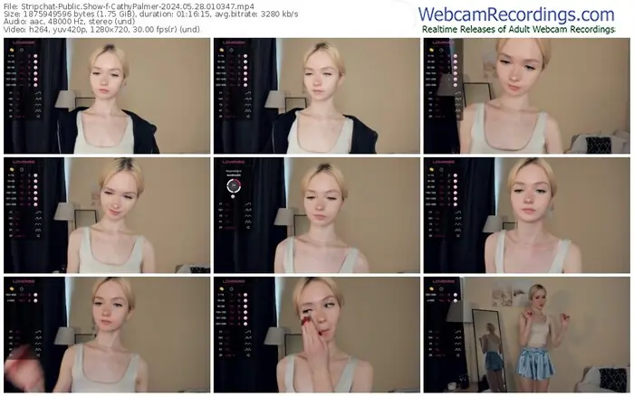 stripchat-cathypalmer-05-28-2024-01-03-47