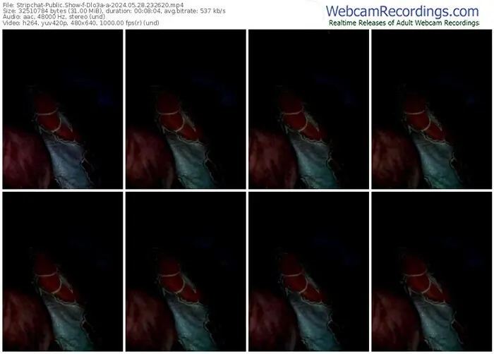 stripchat-dlo3a-a-05-28-2024-23-26-20