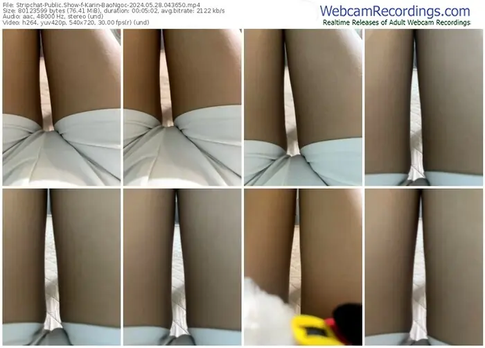 stripchat-karin-baongoc-05-28-2024-04-36-50