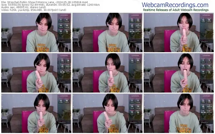 stripchat-monica_lane_-05-28-2024-10-58-18