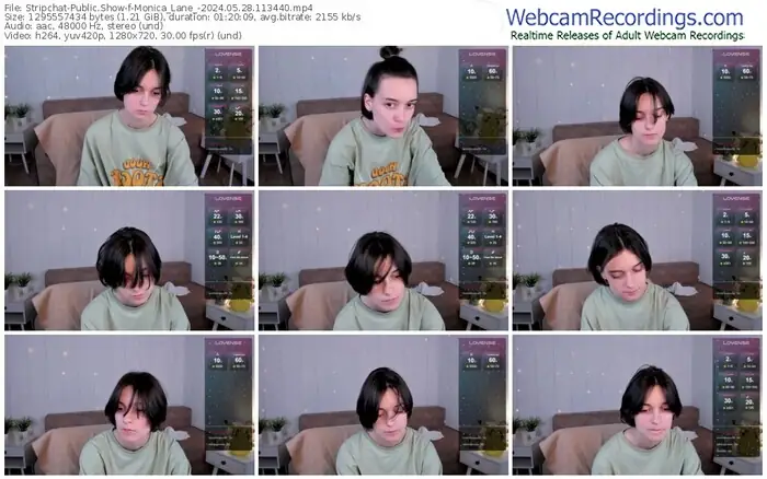 stripchat-monica_lane_-05-28-2024-11-34-40