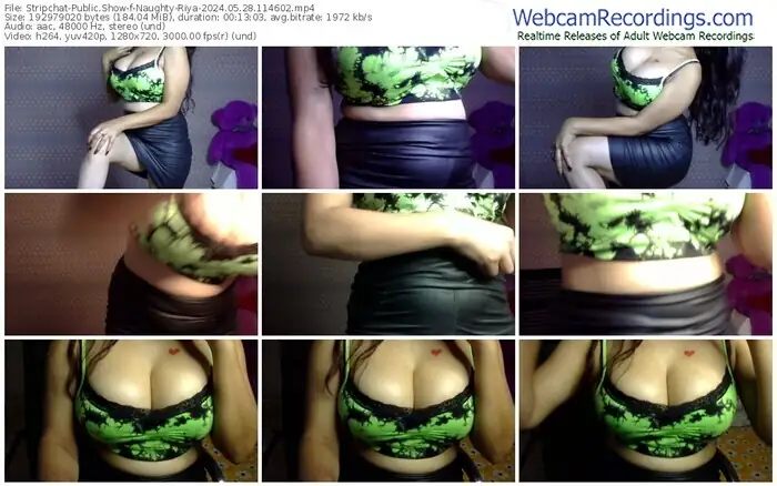 stripchat-naughty-riya-05-28-2024-11-46-02