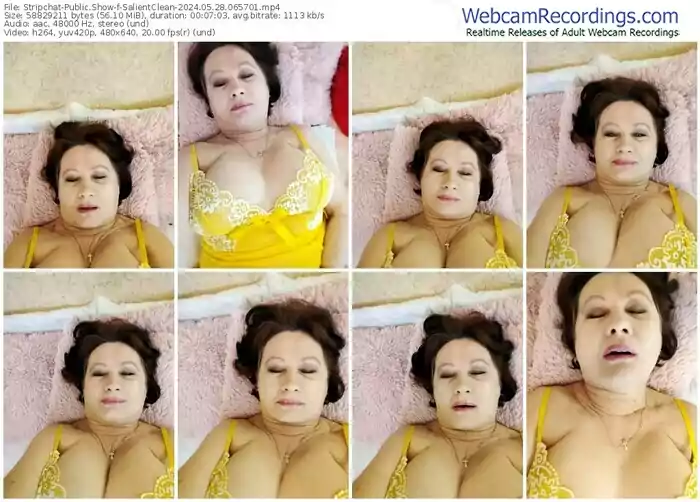 stripchat-salientclean-05-28-2024-06-57-01