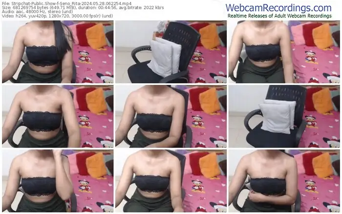 stripchat-seno_rita-05-28-2024-06-22-54