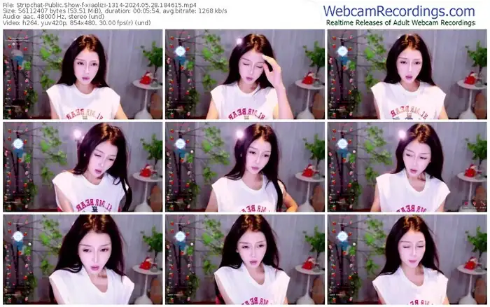 stripchat-xiaolizi-1314-05-28-2024-18-46-15
