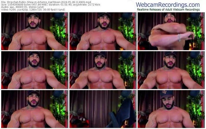 stripchat-artemis_kazttman-05-28-2024-11-49-09