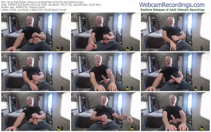 stripchat-di9ital069-05-28-2024-16-54-33