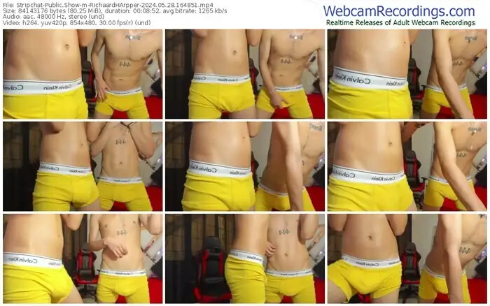 stripchat-richaardharpper-05-28-2024-16-48-51
