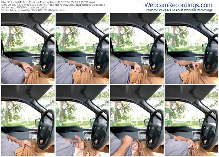 stripchat-themechanic420-05-28-2024-19-56-57