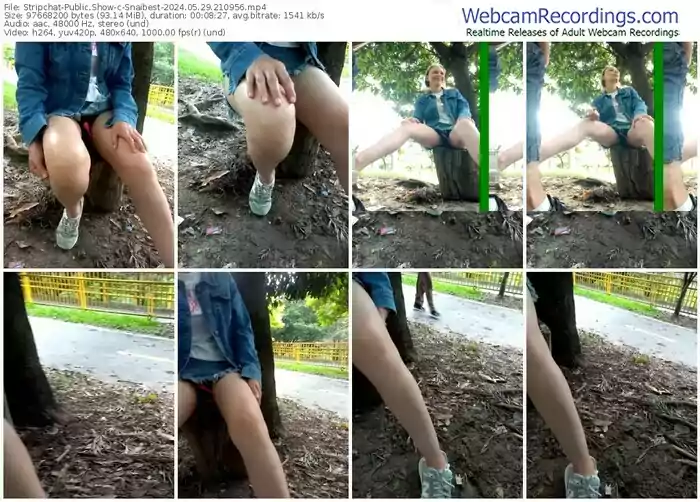 stripchat-snaibest-05-29-2024-21-09-56