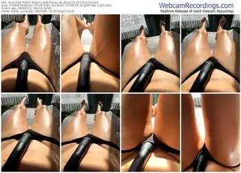 stripchat-wet-pussycat-05-29-2024-13-11-19