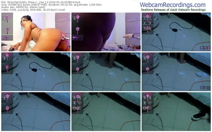 stripchat-_zoe_12-05-29-2024-00-38-03