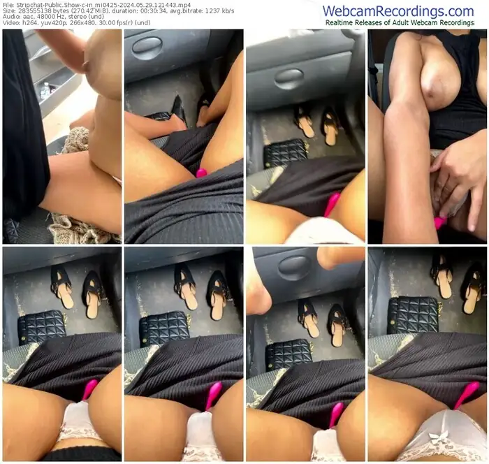 stripchat-in_mi0425-05-29-2024-12-14-43