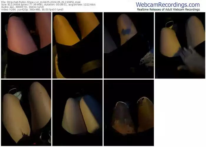 stripchat-in_mi0425-05-29-2024-19-38-51