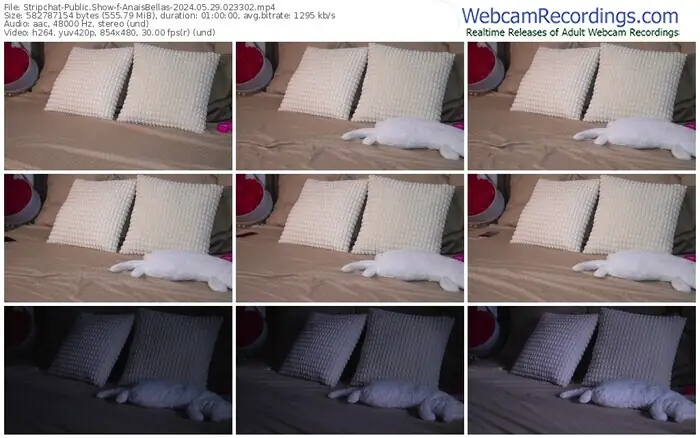 stripchat-anaisbellas-05-29-2024-02-33-02