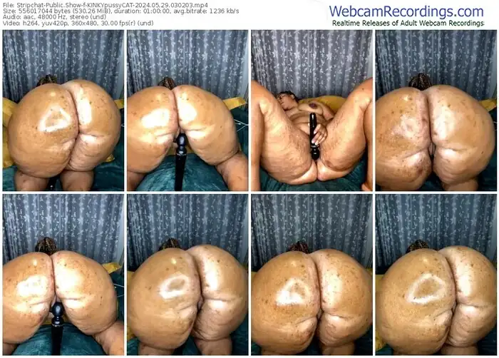 stripchat-kinkypussycat-05-29-2024-03-02-03