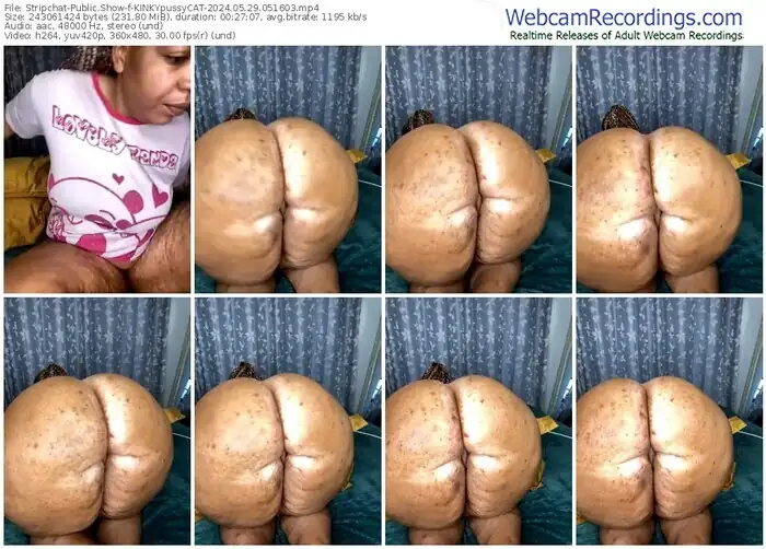 stripchat-kinkypussycat-05-29-2024-05-16-03