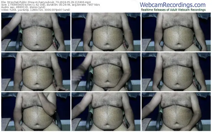 stripchat-hairysubcub_70-05-29-2024-11-04-06
