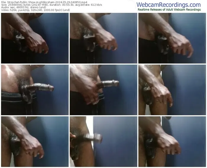 stripchat-phbbcsham-05-29-2024-04-08-50