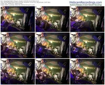 stripchat--purah--05-29-2024-07-30-41