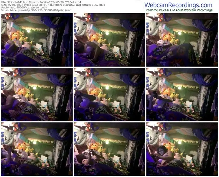 stripchat--purah--05-29-2024-07-30-41