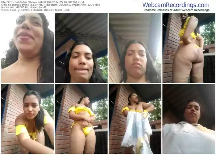 stripchat-nikol2302-05-30-2024-18-22-01