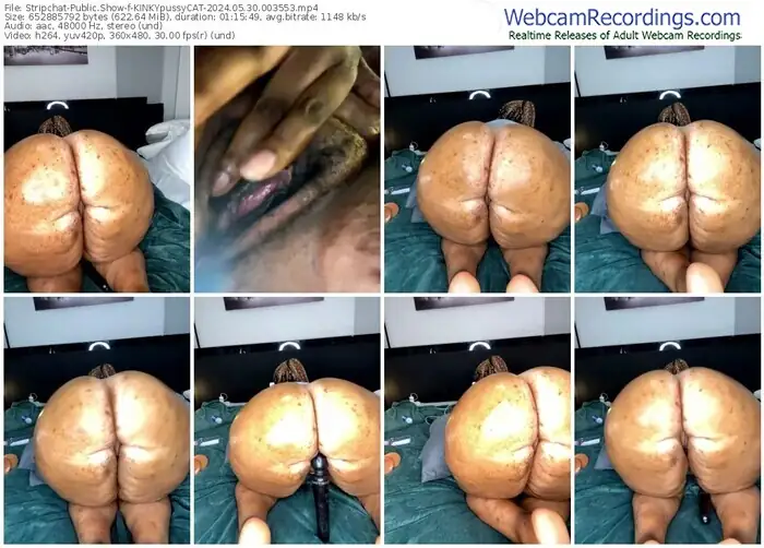 stripchat-kinkypussycat-05-30-2024-00-35-53