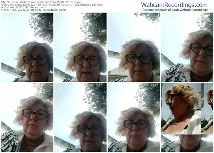 stripchat-merilulla-05-30-2024-12-01-31