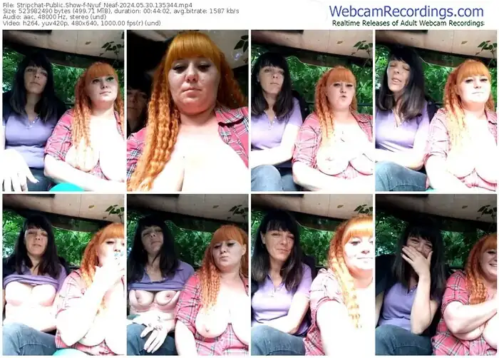 stripchat-nyuf_neaf-05-30-2024-13-53-44