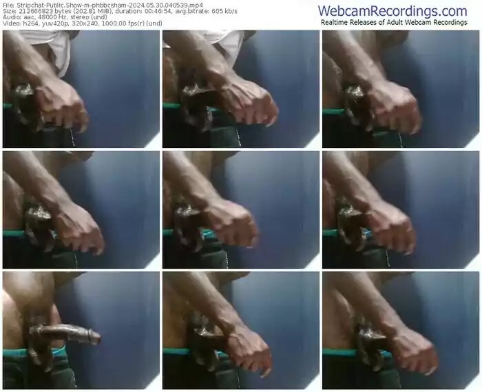 stripchat-phbbcsham-05-30-2024-04-05-39