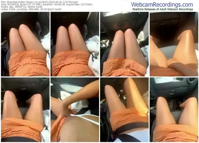 stripchat-in_mi0425-05-31-2024-11-47-43