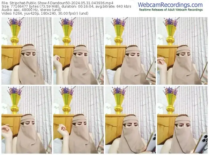 stripchat-dandoun50-05-31-2024-04-39-36