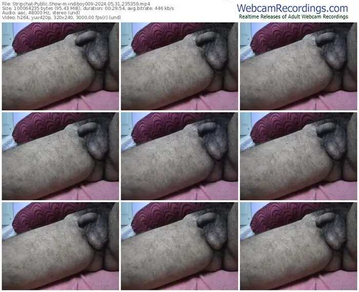 stripchat-indiboy009-05-31-2024-23-53-59