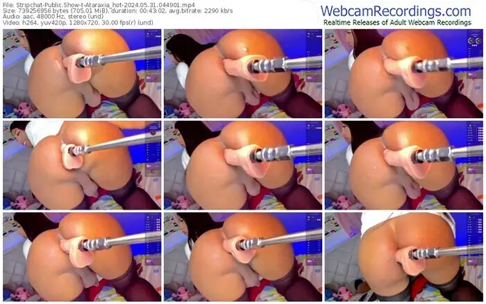 stripchat-ataraxia_hot-05-31-2024-04-49-01