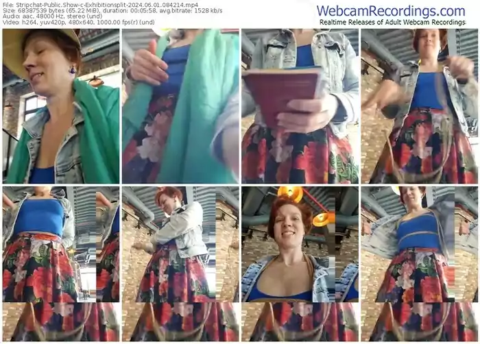 stripchat-exhibitionsplit-06-01-2024-08-42-14