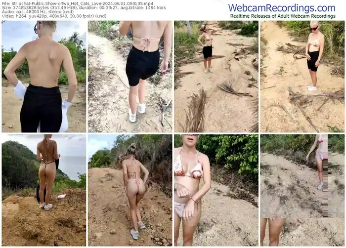 stripchat-two_hot_cats_love-06-01-2024-09-31-35