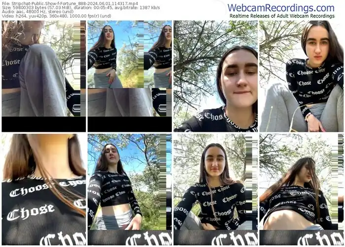 stripchat-fortune_888-06-01-2024-11-43-17