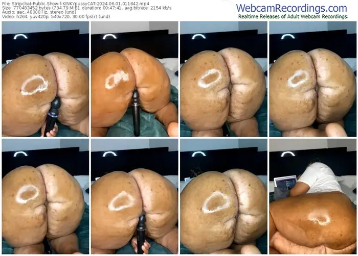 stripchat-kinkypussycat-06-01-2024-01-16-42