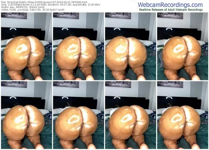 stripchat-kinkypussycat-06-01-2024-04-55-08