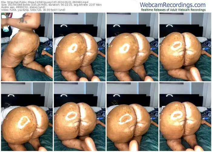 stripchat-kinkypussycat-06-01-2024-06-09-40