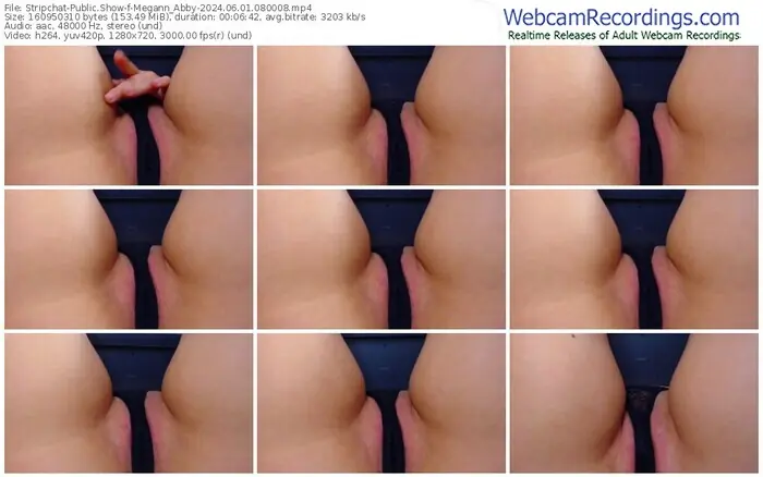 stripchat-megann_abby-06-01-2024-08-00-08